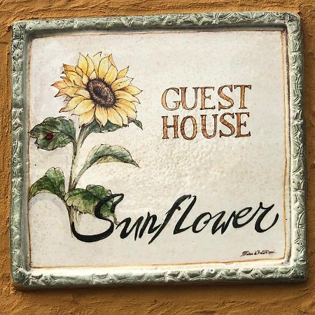 Casa Vacanze Sunflower Carrara Exterior foto